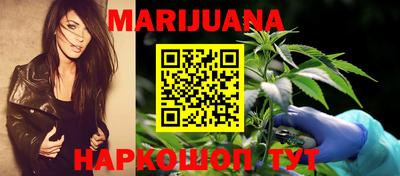 мяу мяу мука Краснознаменск