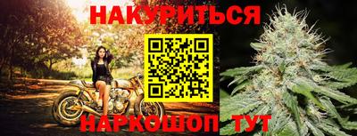 мяу мяу мука Краснознаменск