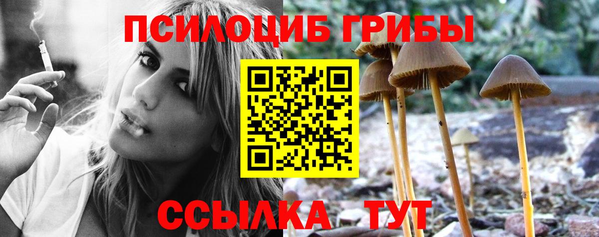Псилоцибиновые грибы Magic Shrooms  Галлюциногенные грибы MAGIC MUSHROOMS  Коммунар  Вход с VPN 